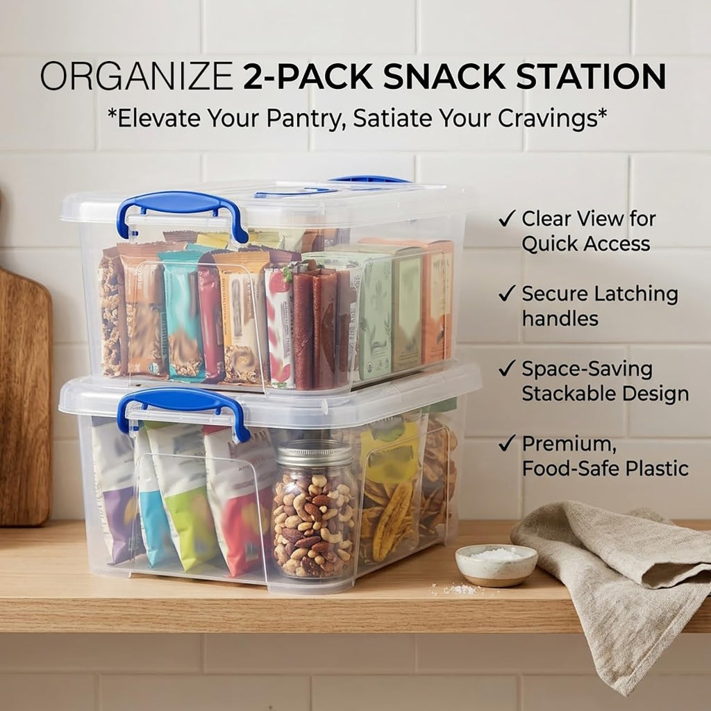 Clear 9 Quart Storage Bins with Lids 2 Pack F8551