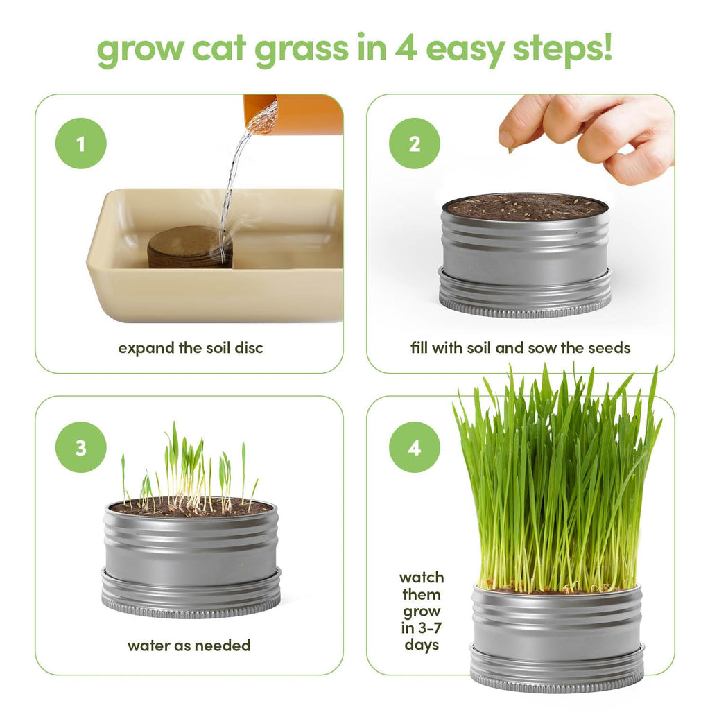 Cat Grass for Indoor Cats Kit S642075