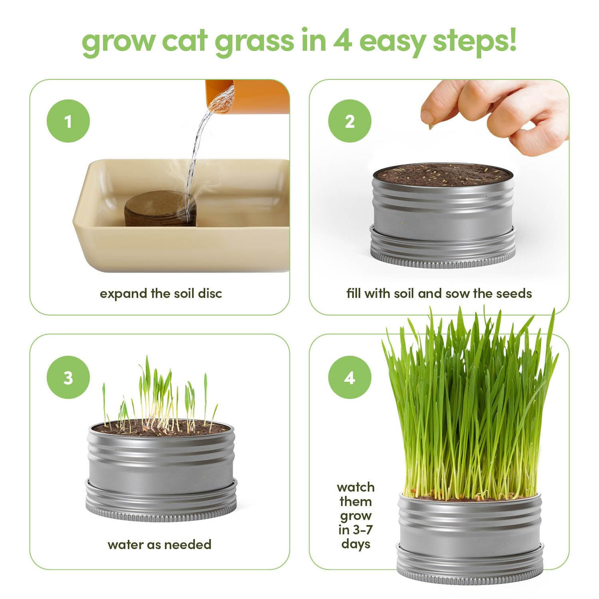 Cat Grass for Indoor Cats Kit S642075