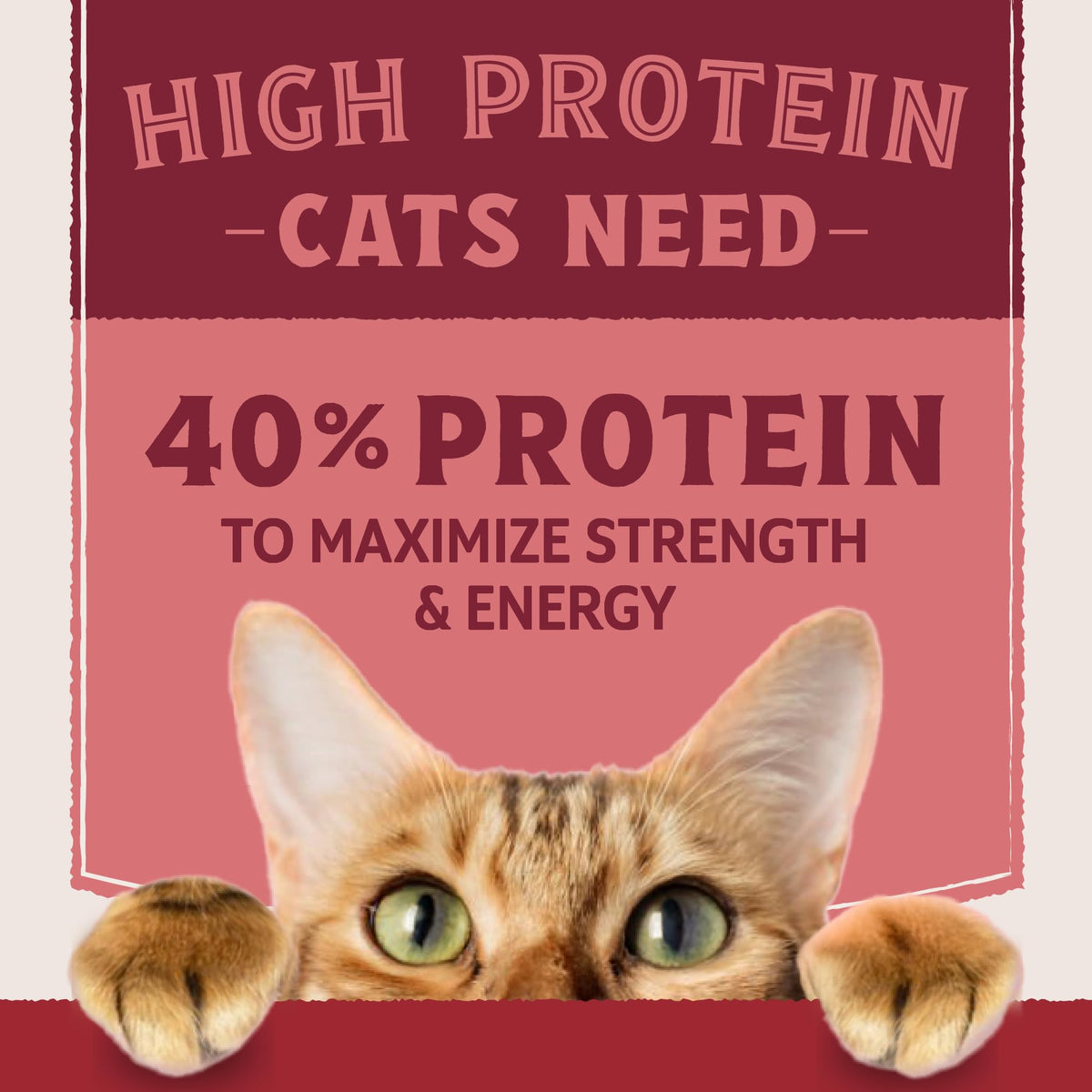 Salmon & Chicken Meal Protein S760