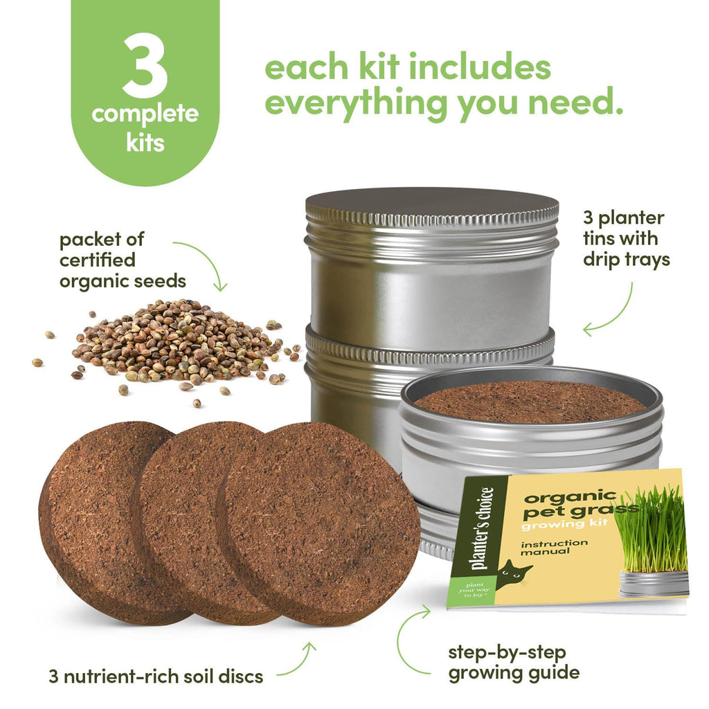 Cat Grass for Indoor Cats Kit S642075