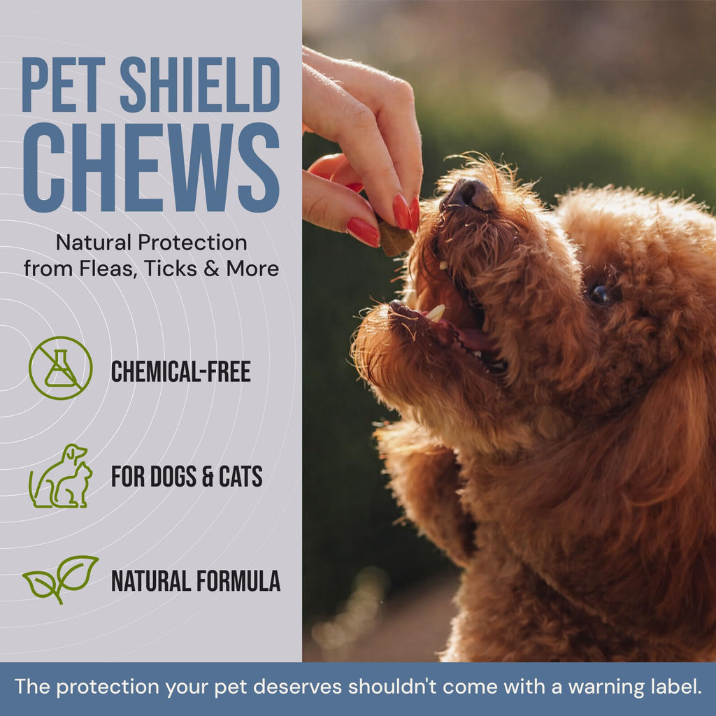 Natural Flea & Tick Prevention Soft Chews Z7728
