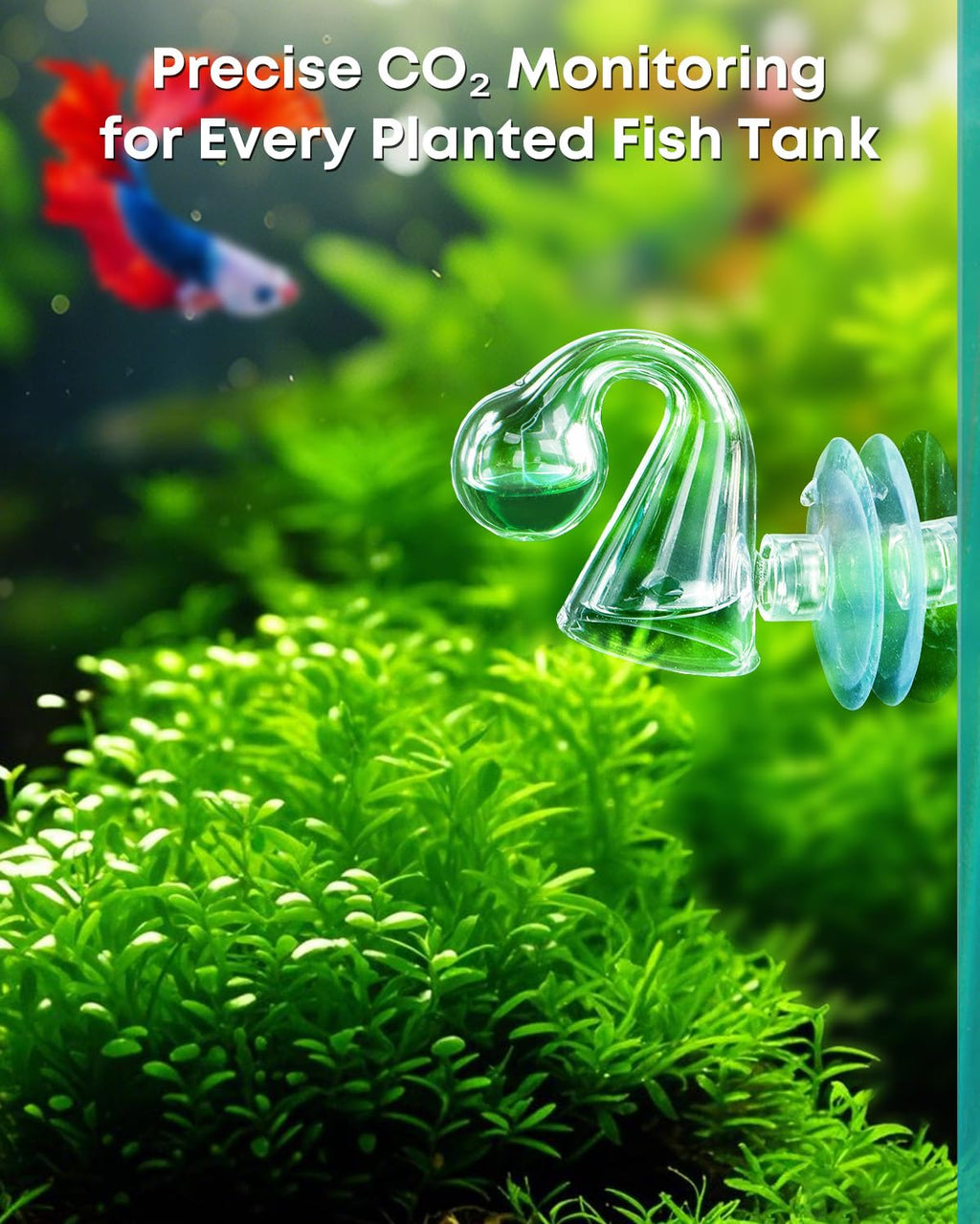 Glass CO2 Drop Checker for Aquarium W405