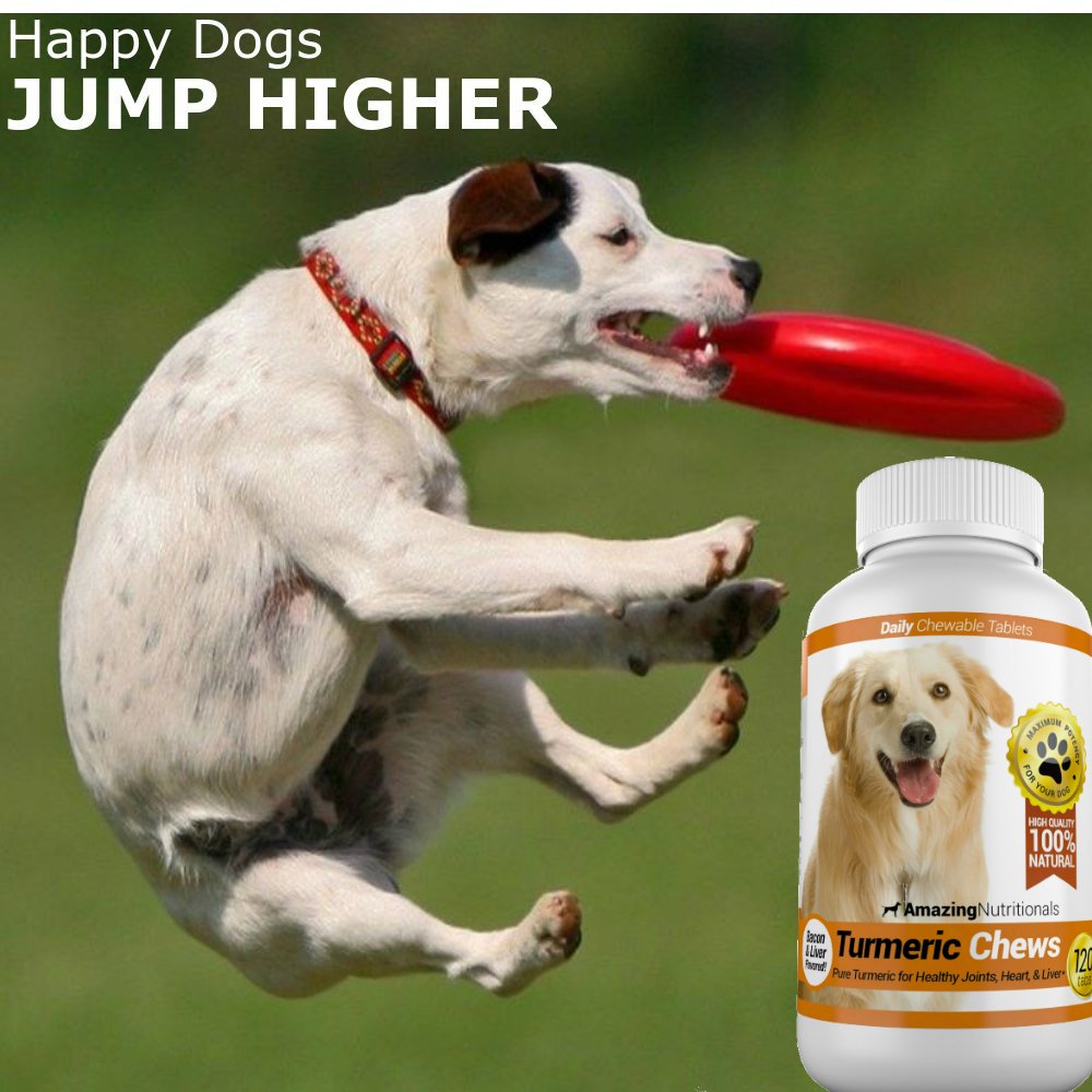 120 Chews Turmeric Curcumin Pet Antioxidant C59493