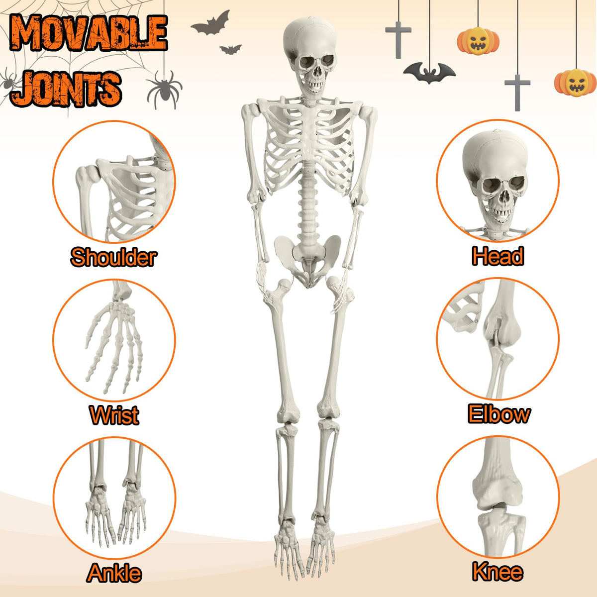 5.4FT Posable Life Size Skeleton Q36697
