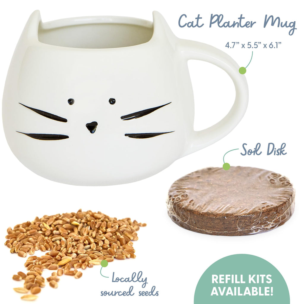 Organic Cat Grass Growing Kit with Seed Mix Soil and White Planter C891