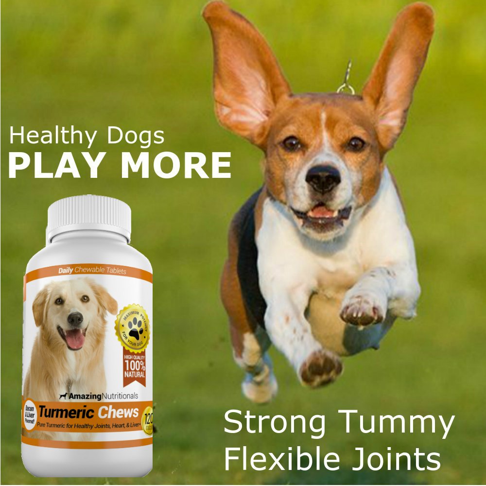 120 Chews Turmeric Curcumin Pet Antioxidant C59493