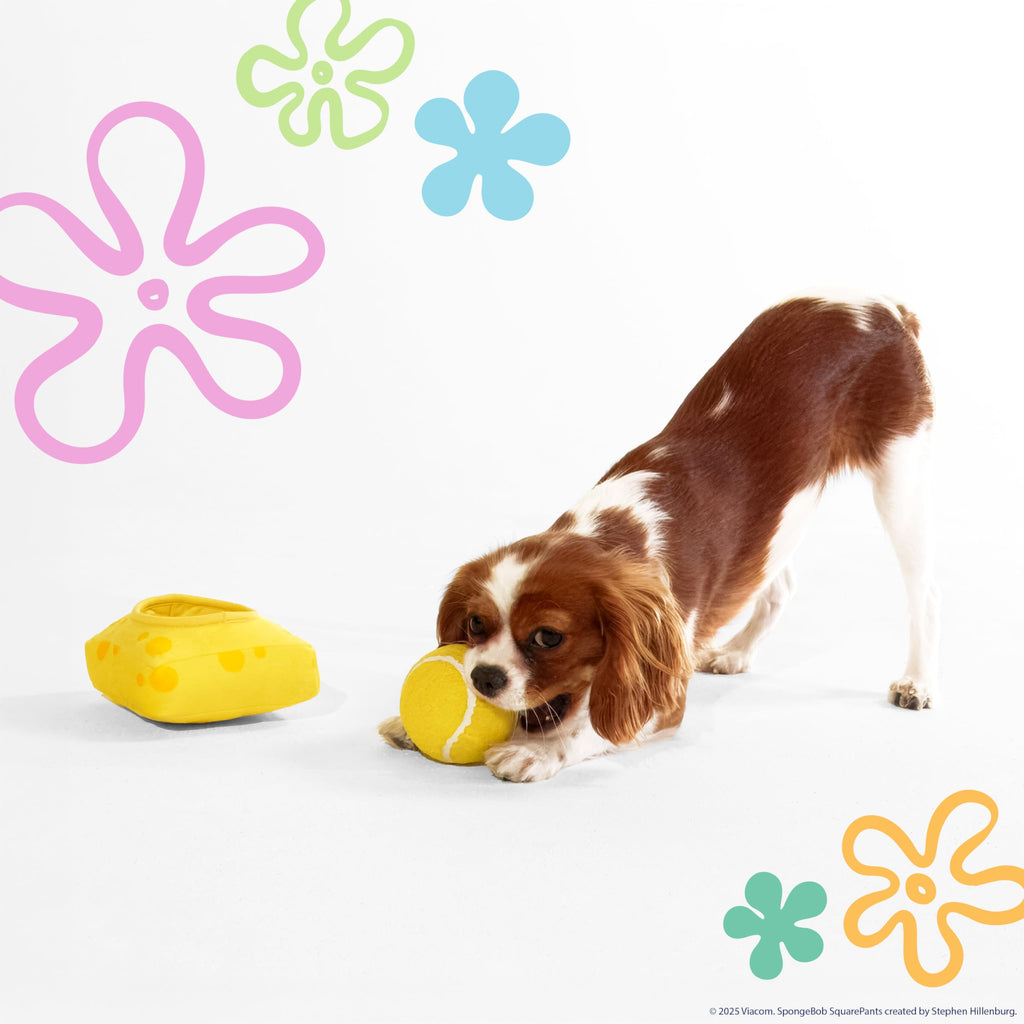 Squeaky Plush Dog Toys 2-Pack Q59783