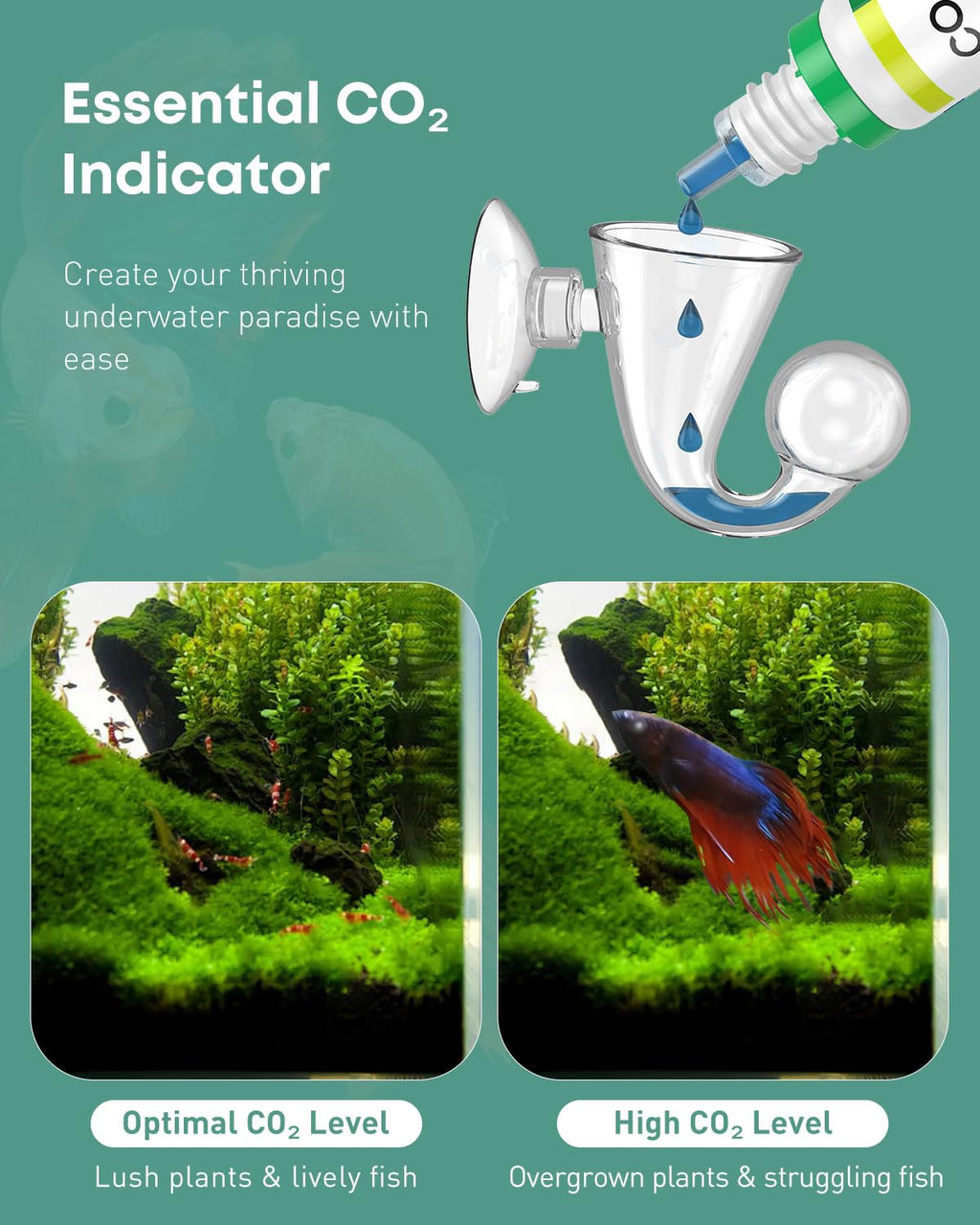 Glass CO2 Drop Checker for Aquarium W405