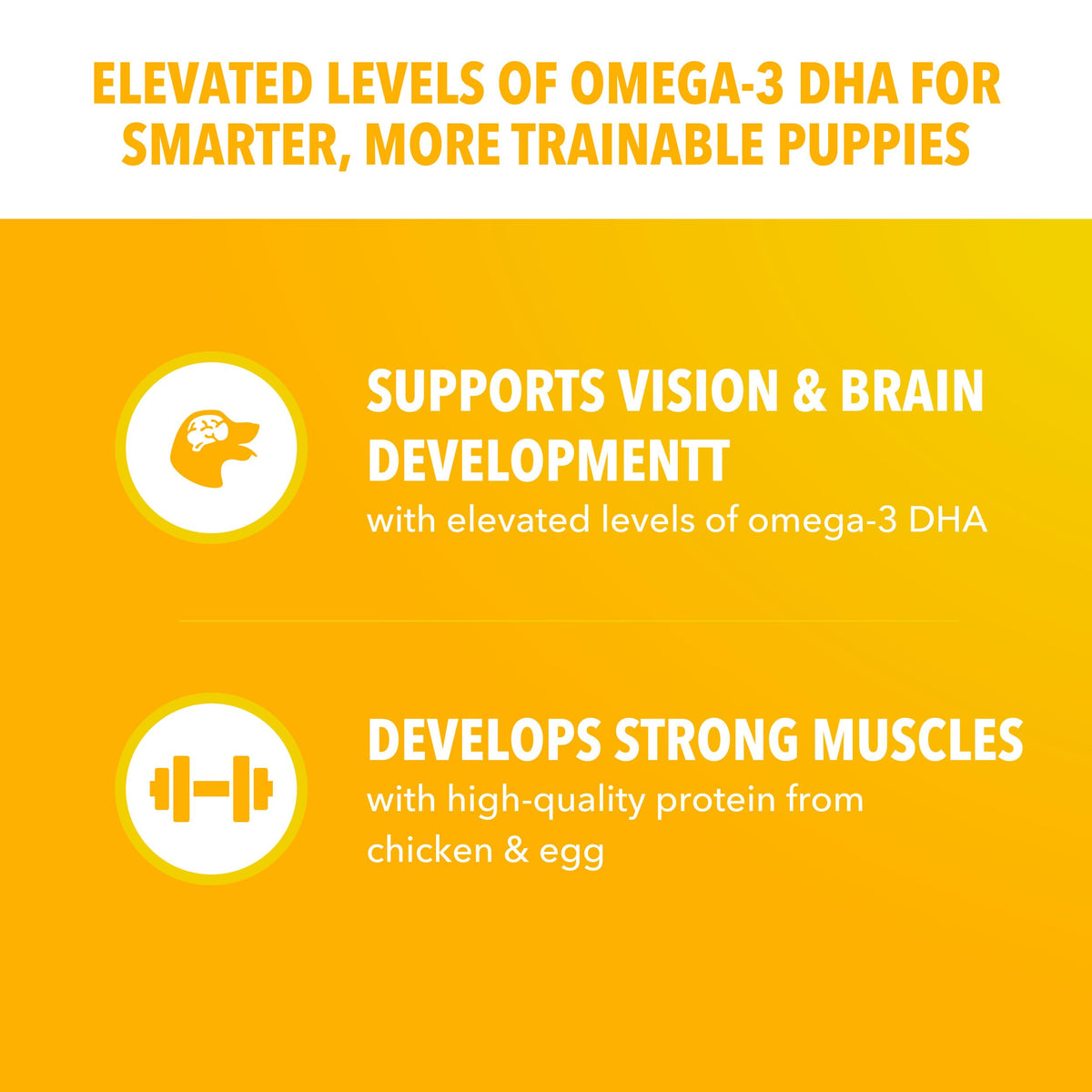 Large Breed Puppy Dry Dog Food Chicken 30.6 lb Q70221