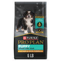 High Protein Chicken & Rice Dry Puppy Food 6 lb Bag P48117