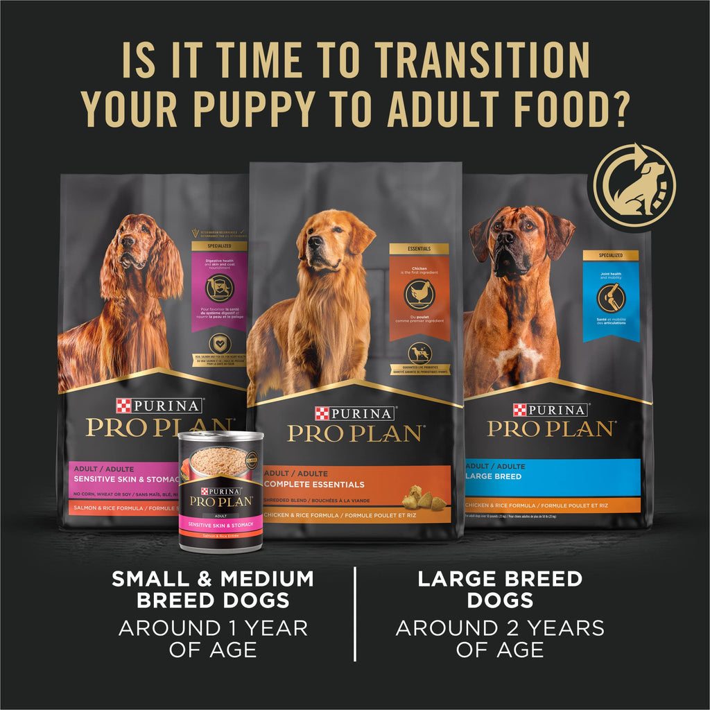 High Protein Chicken & Rice Dry Puppy Food 6 lb Bag P48117