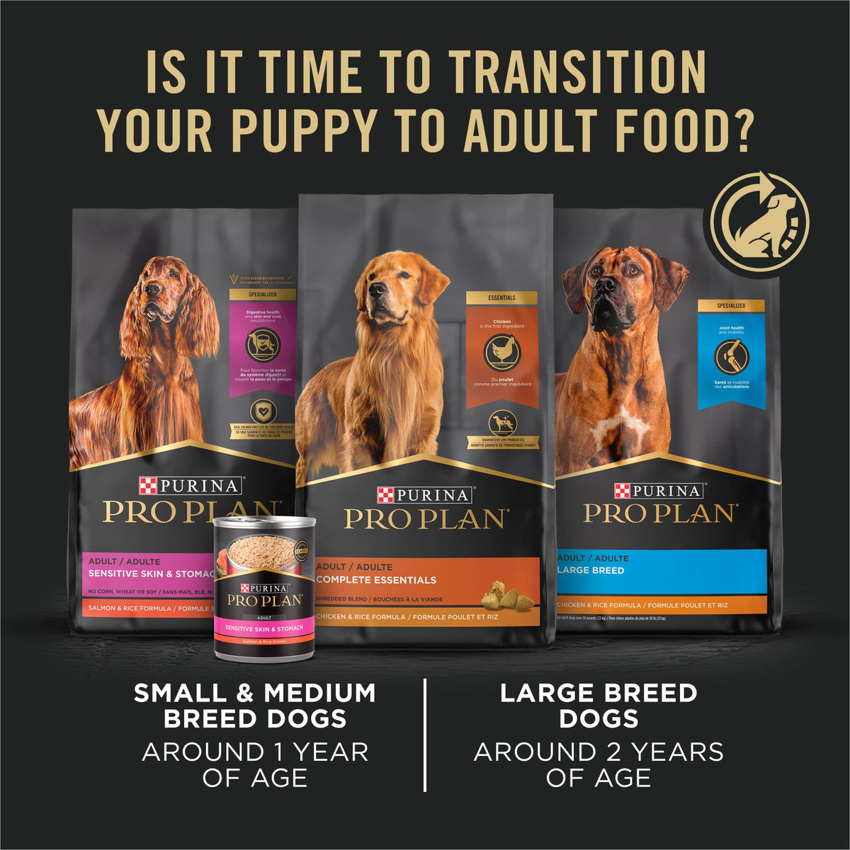 High Protein Chicken & Rice Dry Puppy Food 6 lb Bag P48117