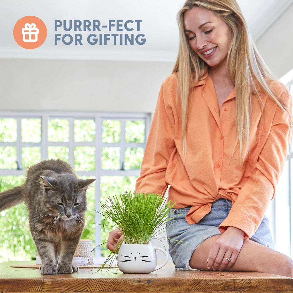 Organic Cat Grass Growing Kit with Seed Mix Soil and White Planter C891