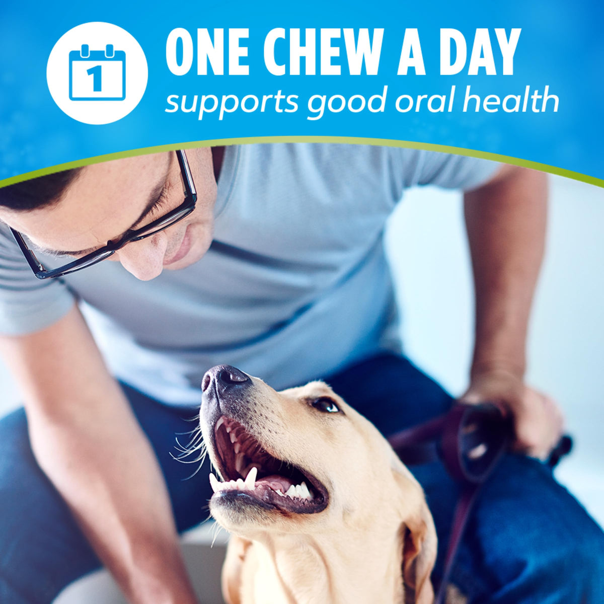 Chicken Flavor Dental Chews for Adult Dogs 30 ct. S336351