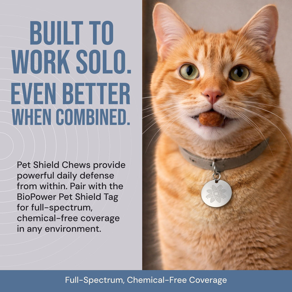 Natural Flea & Tick Prevention Soft Chews Z7728