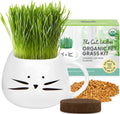 Organic Cat Grass Growing Kit with Seed Mix Soil and White Planter C891