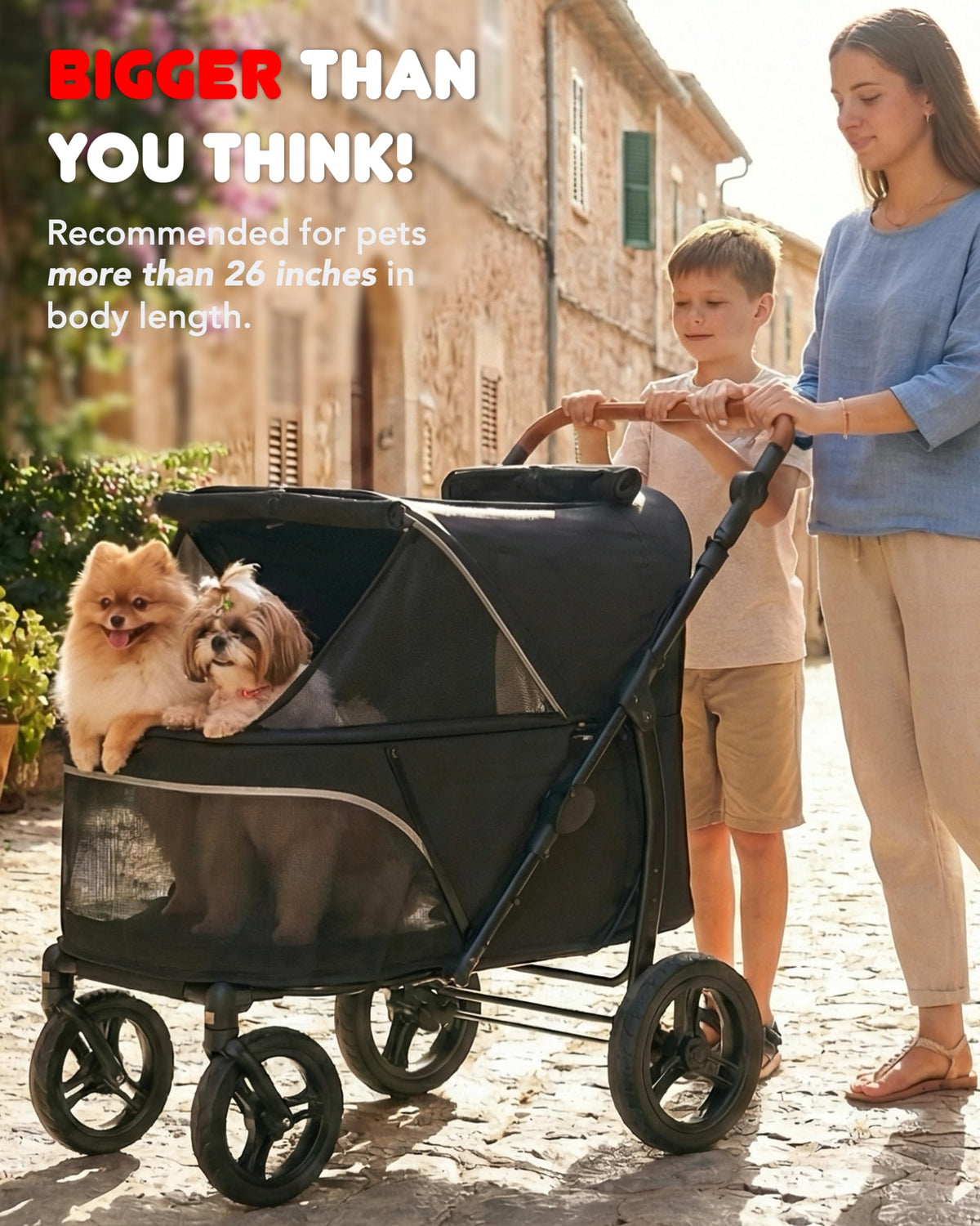 Large Pet Stroller P1562