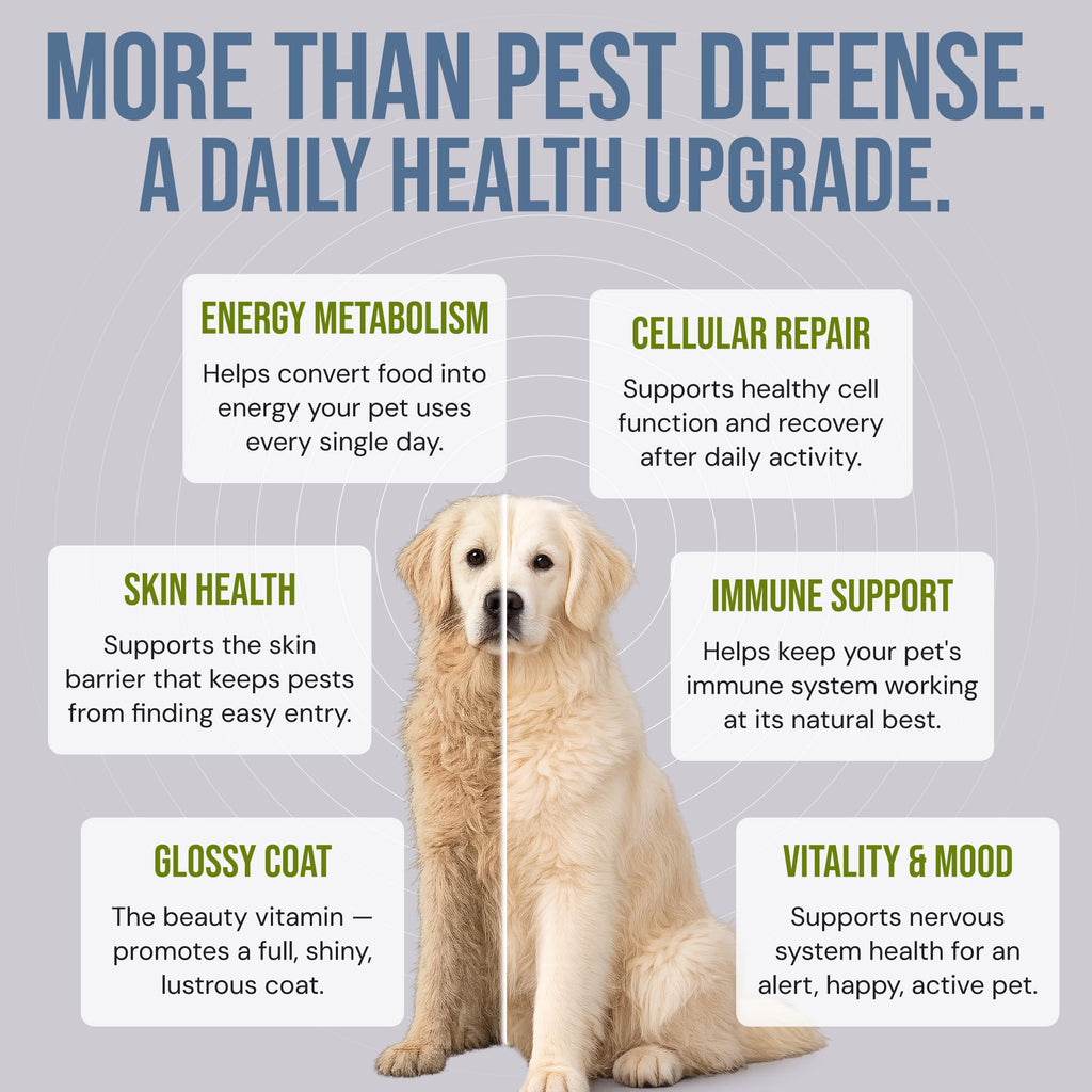 Natural Flea & Tick Prevention Soft Chews Z7728