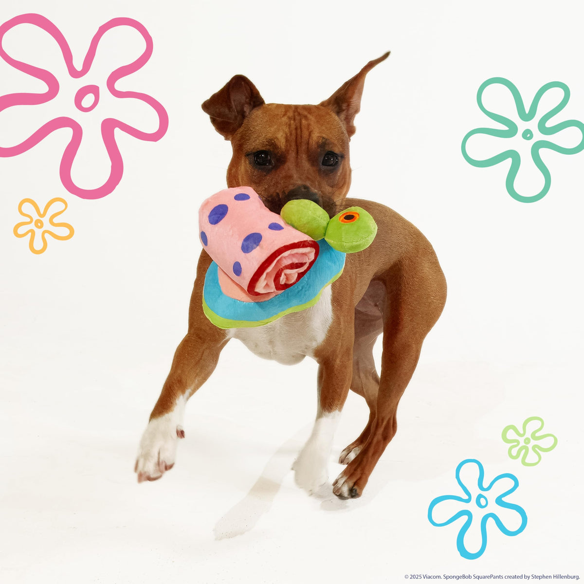 Squeaky Plush Dog Toys 2-Pack Q59783